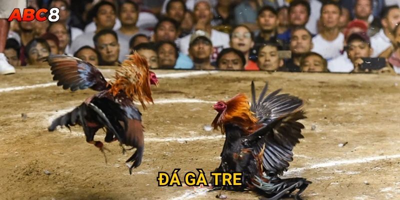 Đá Gà Tre