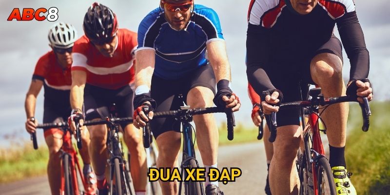 Đua xe đạp