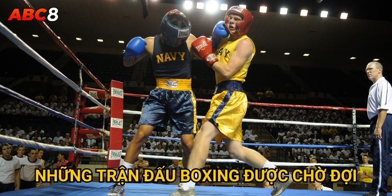 Những trận đấu boxing được chờ đợi